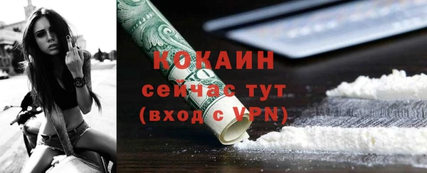 мет Дмитриев