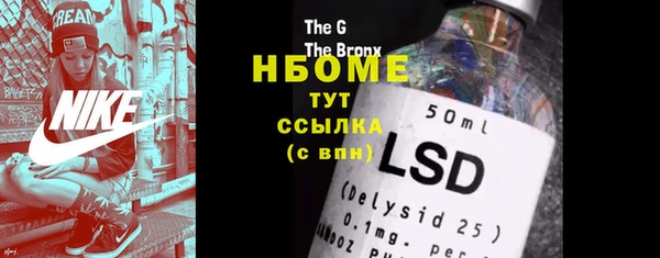 гашик Гусев