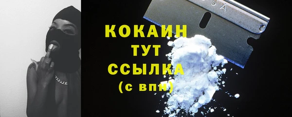гашик Гусев