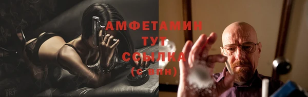 гашик Гусев