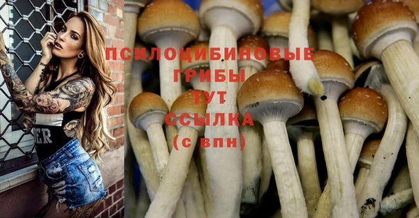 apvp Гусь-Хрустальный