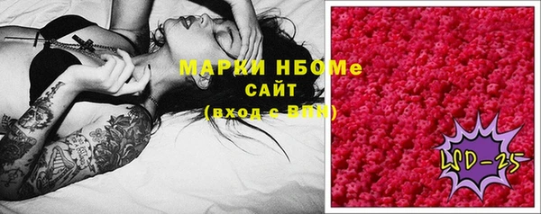 мет Дмитриев