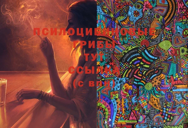 apvp Гусь-Хрустальный
