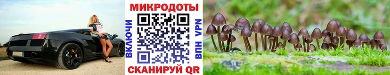 гидра зеркало  Новосибирск  Псилоцибиновые грибы Psilocybe 